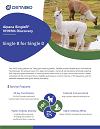 Alpaca SingleB® VHH Discovery Service